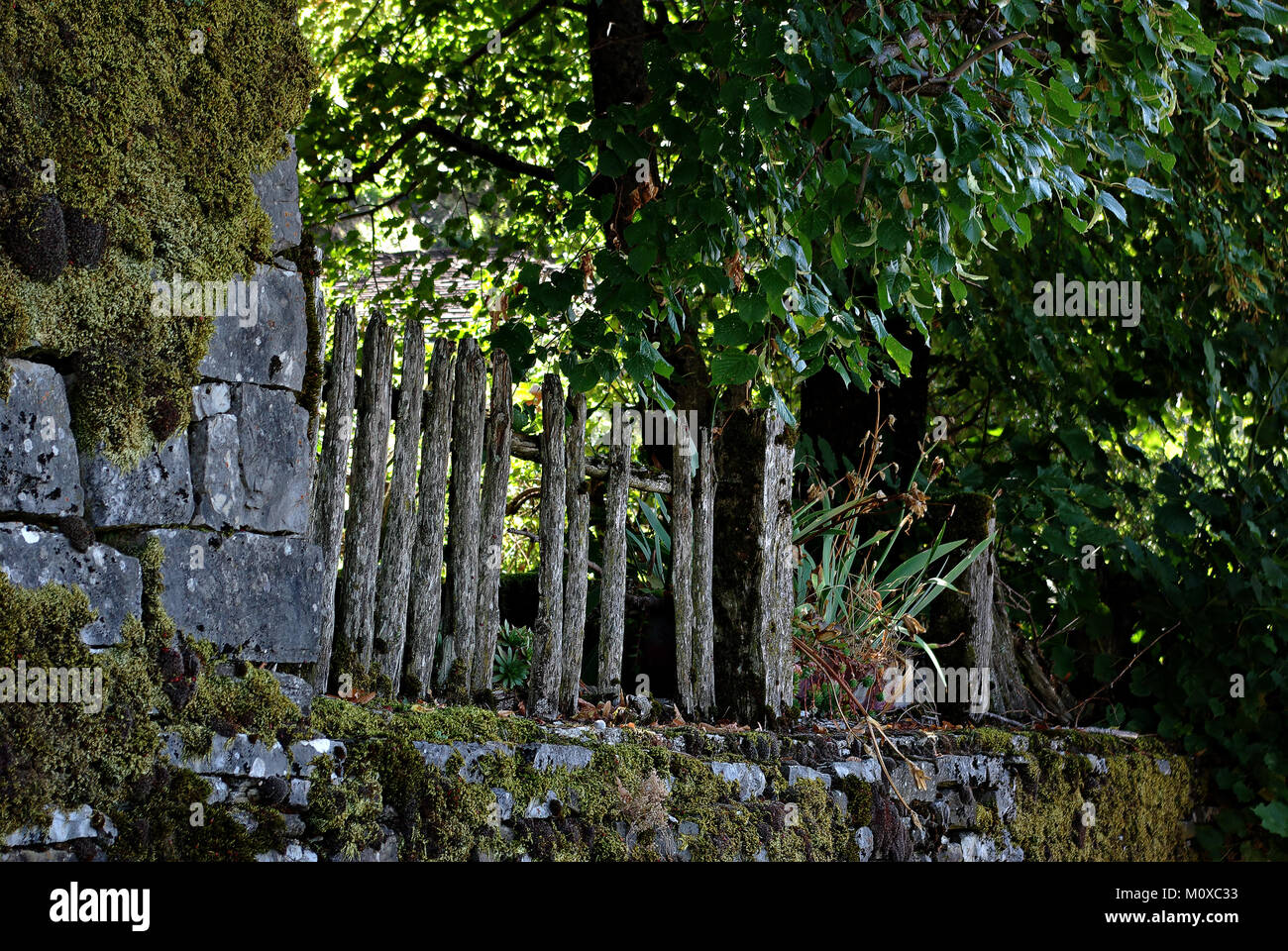 Vecchia staccionata in legno a lato del paese. Foto Stock
