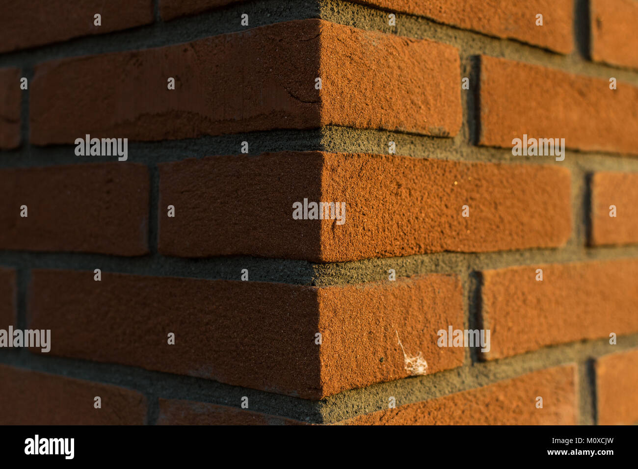 Una parete di mattoni Foto Stock