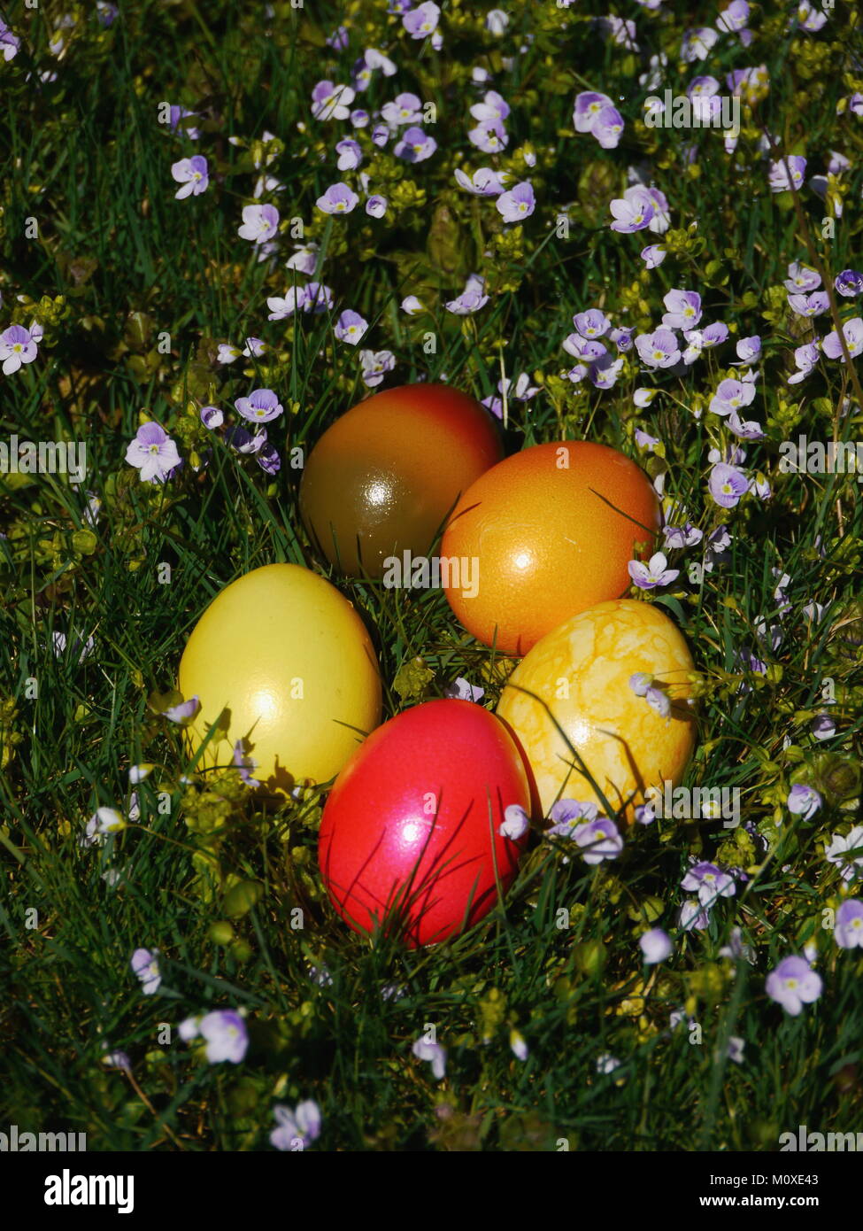 Le uova di pasqua che stabilisce nel prato con fiori Foto Stock