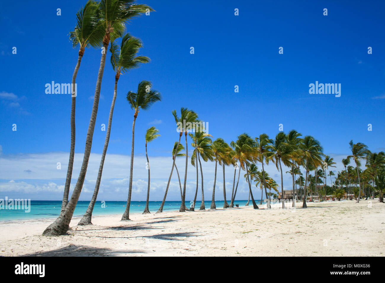 Tropicali dei Caraibi le linee di spiaggia con le palme in Repubblica Dominicana Foto Stock