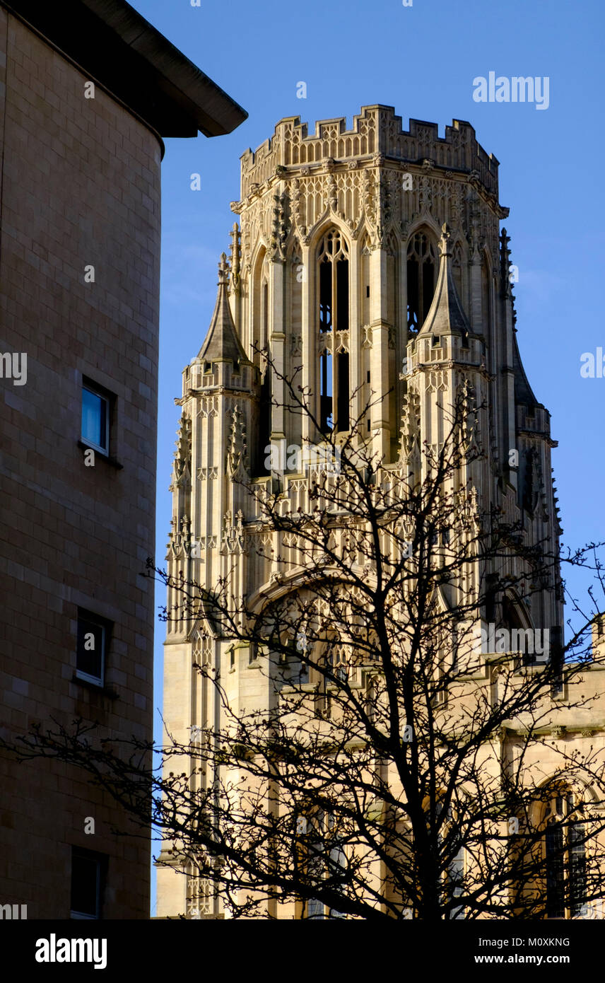 Wills Memorial Tower,l'Università di Bristol,Inghilterra Bristol REGNO UNITO Foto Stock