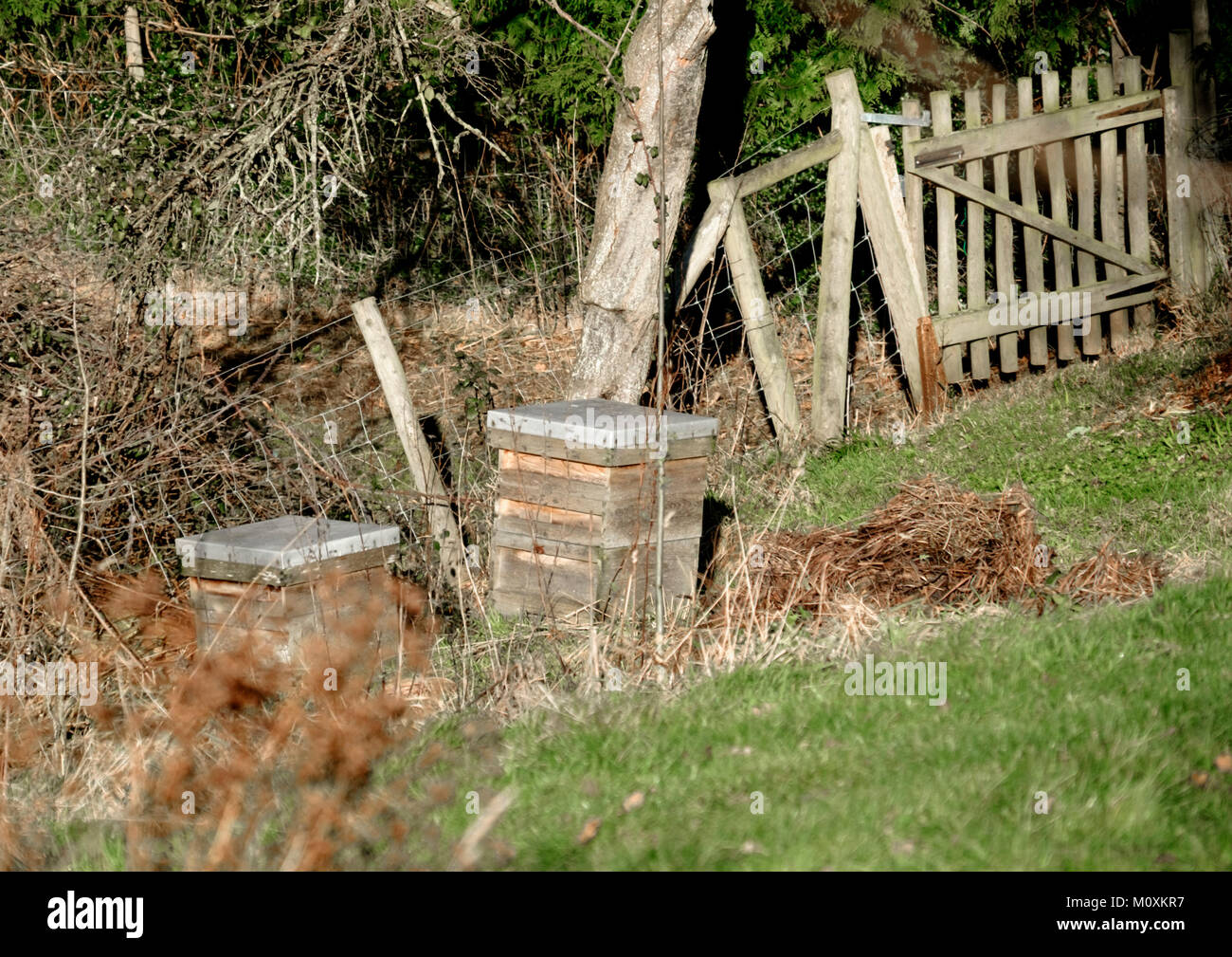 A Longhope vilage nella campagna del Gloucestershire. Guardando in giù nel villaggio da Hobbs Lane Foto Stock