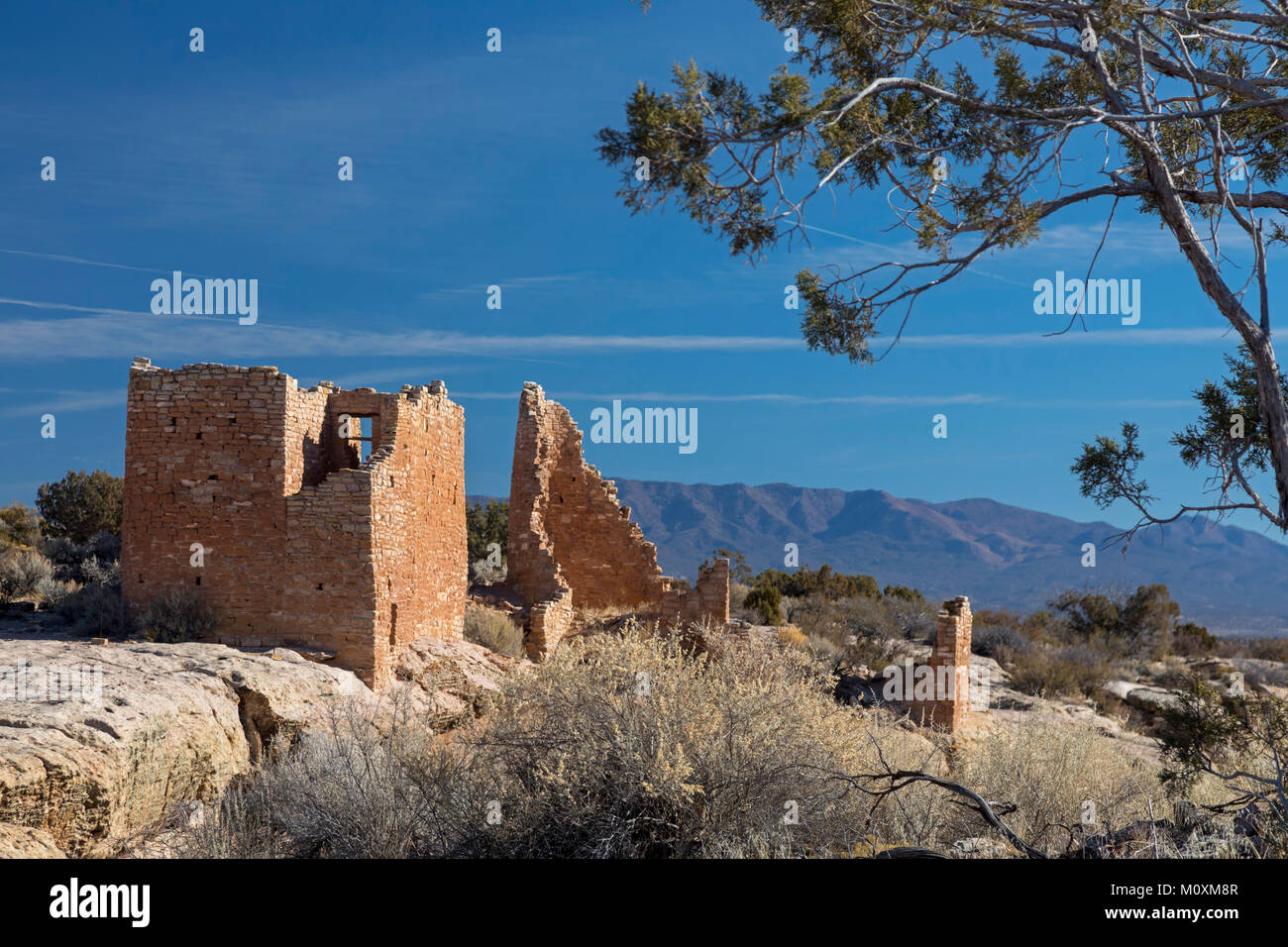 Hovenweep National Monument, Utah - Hovenweep Castello, parte della torre quadrata Gruppo di rovine Anasazi situato intorno al piccolo rovina Canyon. La maggior parte delle Foto Stock