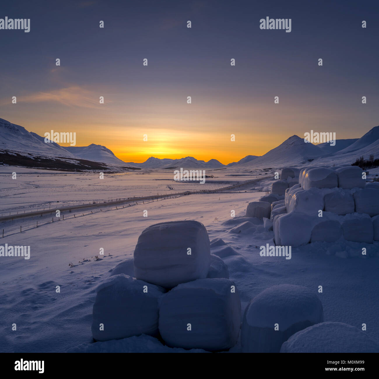 Coperte di neve rotoli di fieno, Islanda Foto Stock