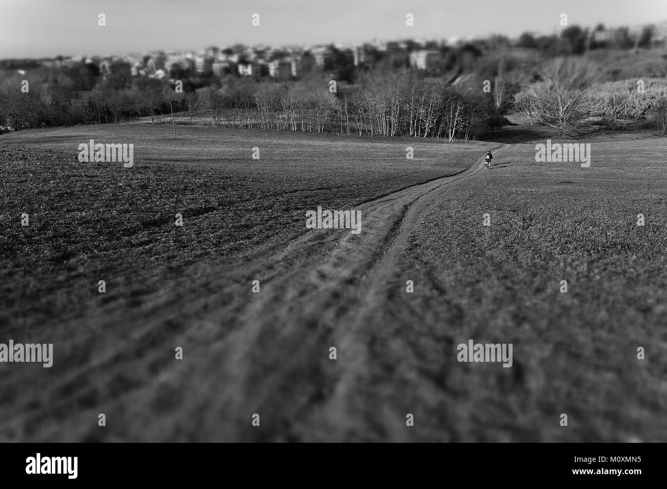 Strada sterrata nel parco della Caffarella con edifici in background Foto Stock