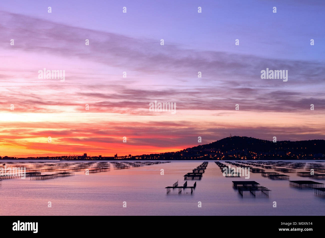 Sunrise sullo stagno di Thau, ostriche, in background Mont St Clair in Sete, Occitanie, Francia Foto Stock