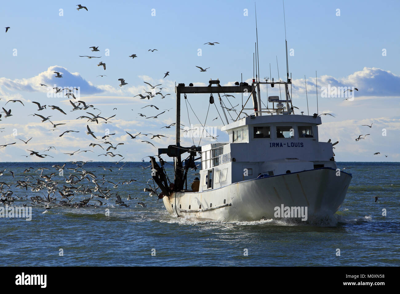 Il ritorno di pesca nel Mar Mediterraneo, Le Grau Du Roi, Gard, Francia Foto Stock