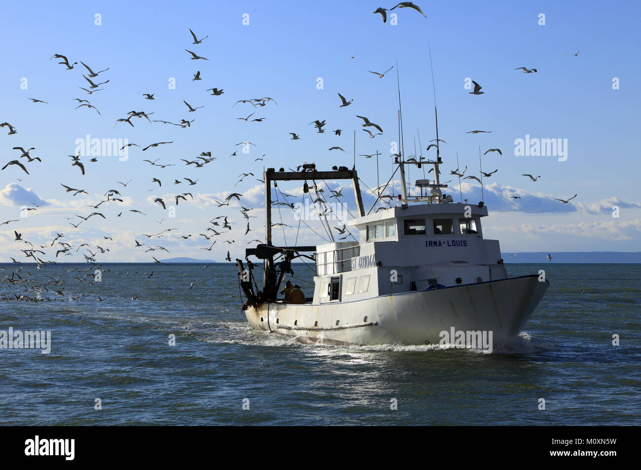 Il ritorno di pesca nel Mar Mediterraneo, Le Grau Du Roi, Gard, Francia Foto Stock
