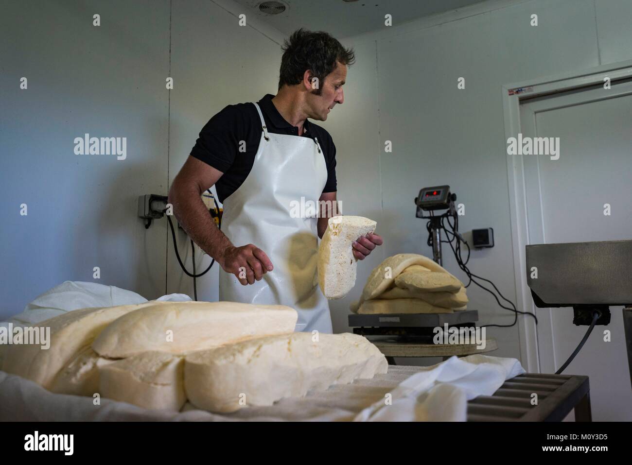 Francia,Cantal,Salers paese,Trizac,Joel Mercier,Salers AOP casaro,della fabbricazione del formaggio Foto Stock