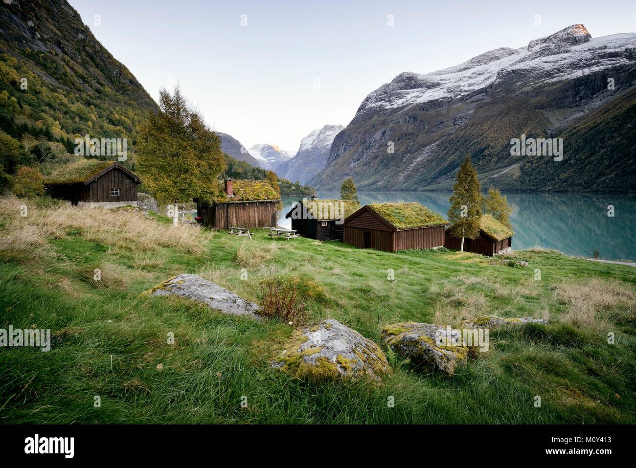 Norvegia,Sogn og Fjordane,Nordfjord,Stryn,Loen,vicino lago Oppstrynsvatn,Jostedalsbreen Parco Nazionale,case vicino al lago Lovatnet,vicino a Skala Foto Stock