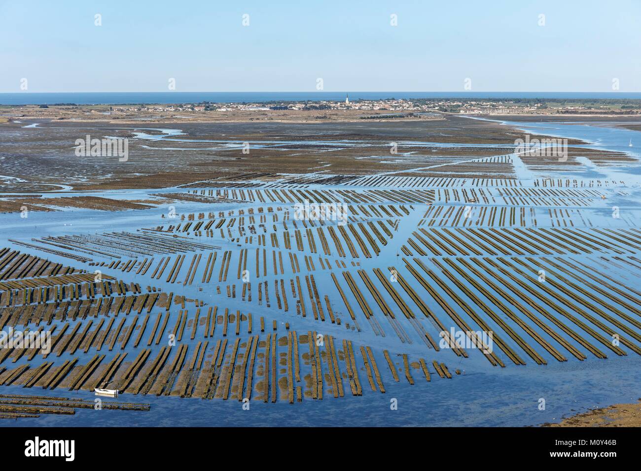Francia,Charente Maritime,Ile de Re,Ars en Re,etichettati Les Plus Beaux Villages de France (i più bei villaggi di Francia),ostriche fattoria nel Fier d Ars (vista aerea) Foto Stock