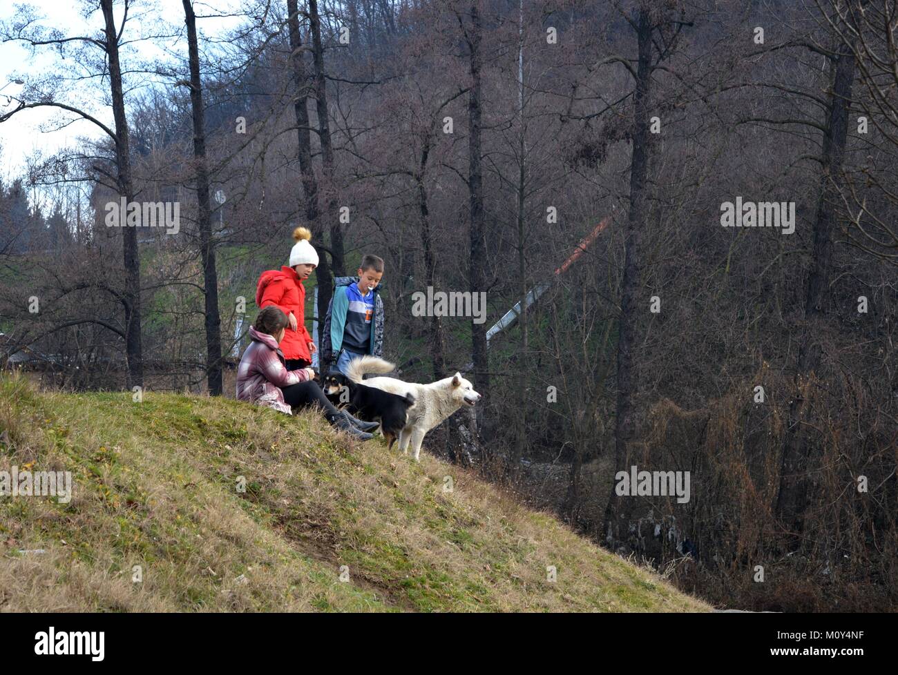 I bambini con i cani Foto Stock