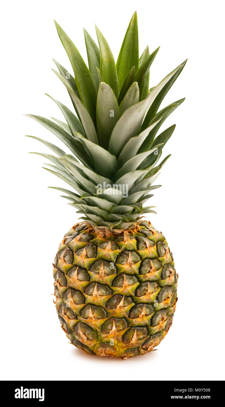 Percorso di ananas isolato Foto Stock