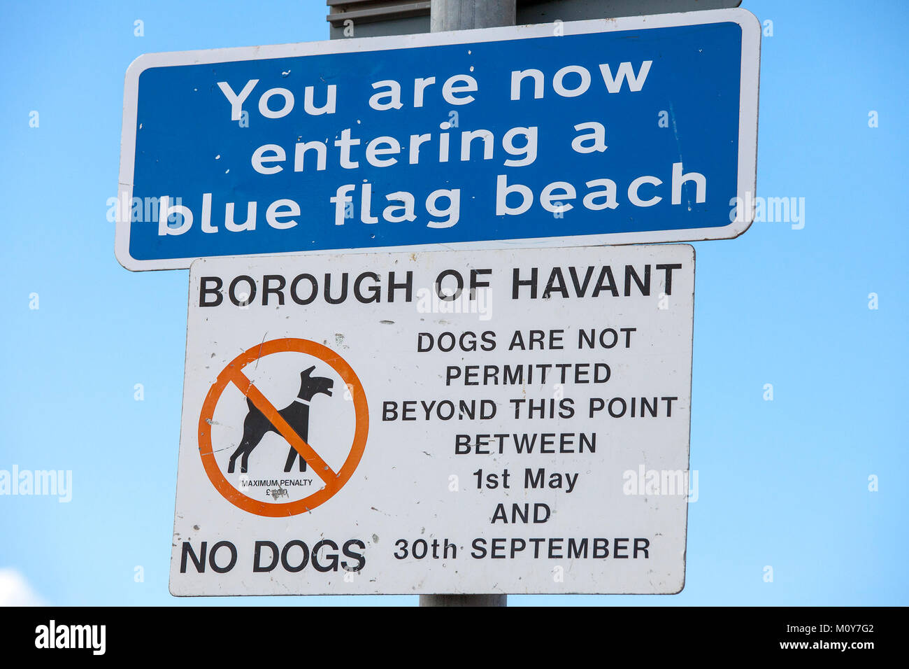 Si sta ora entrando in una spiaggia bandiera blu segno e un i cani non sono ammessi al di là di questo punto tra il 1 maggio e il 30 settembre No cani avviso Foto Stock