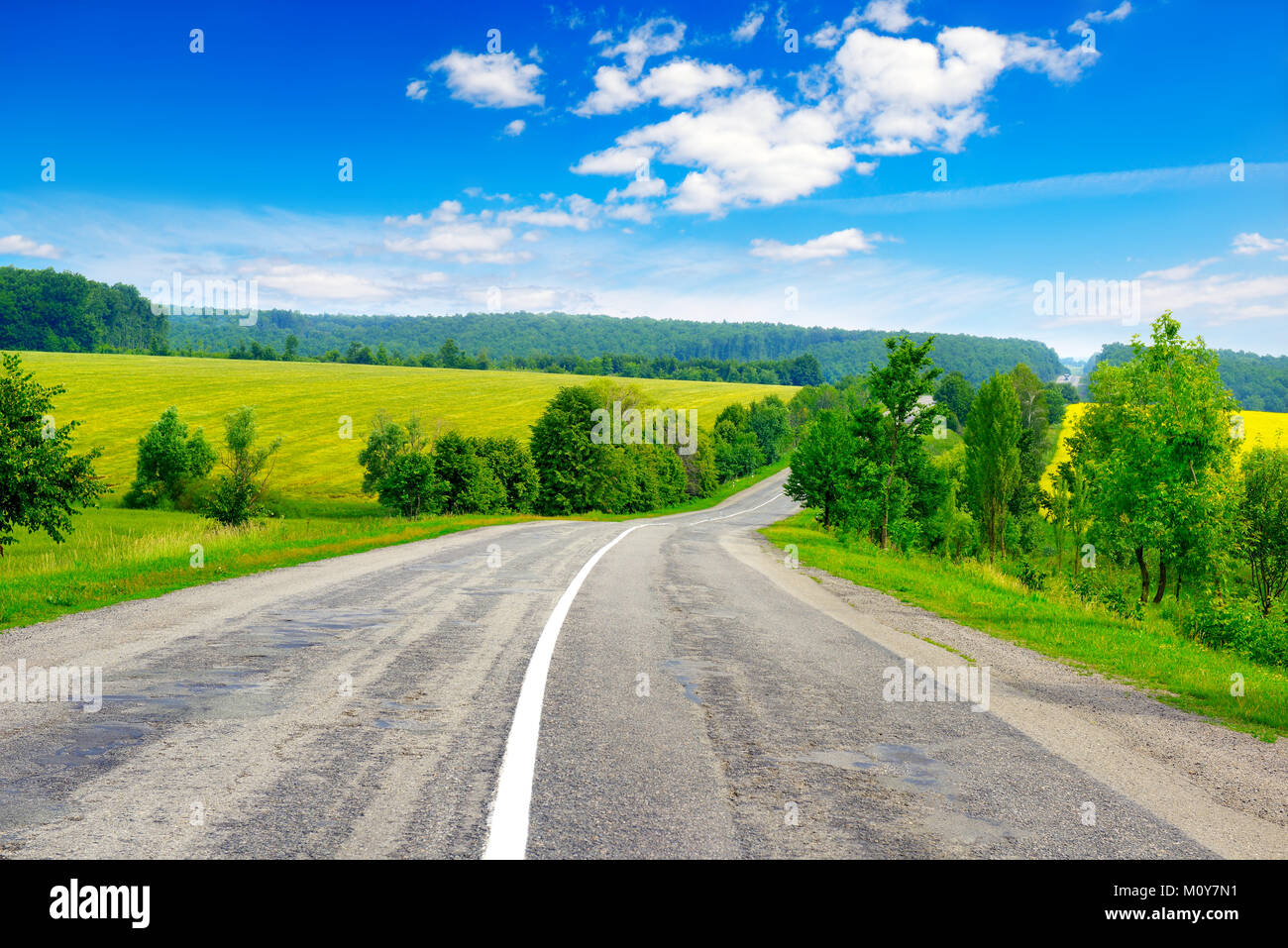 Rural strada asfaltata tra verdi campi Foto Stock