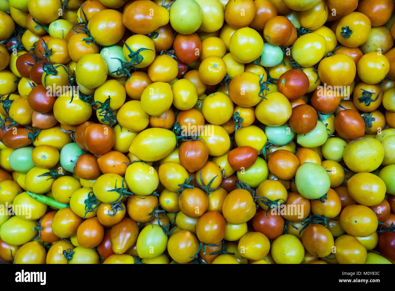 Pomodori colorati per la vendita al mercato in Puerto Princesa, PALAWAN FILIPPINE Foto Stock Pomodori colorati per la vendita al mercato in Puerto Princesa, PALAWAN FILIPPINE Foto Stock