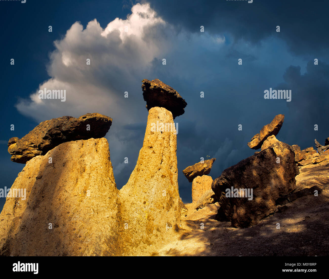 Rocce di bilanciamento. Vicino al Lago di Billy Chinook, Oregon. Foto Stock