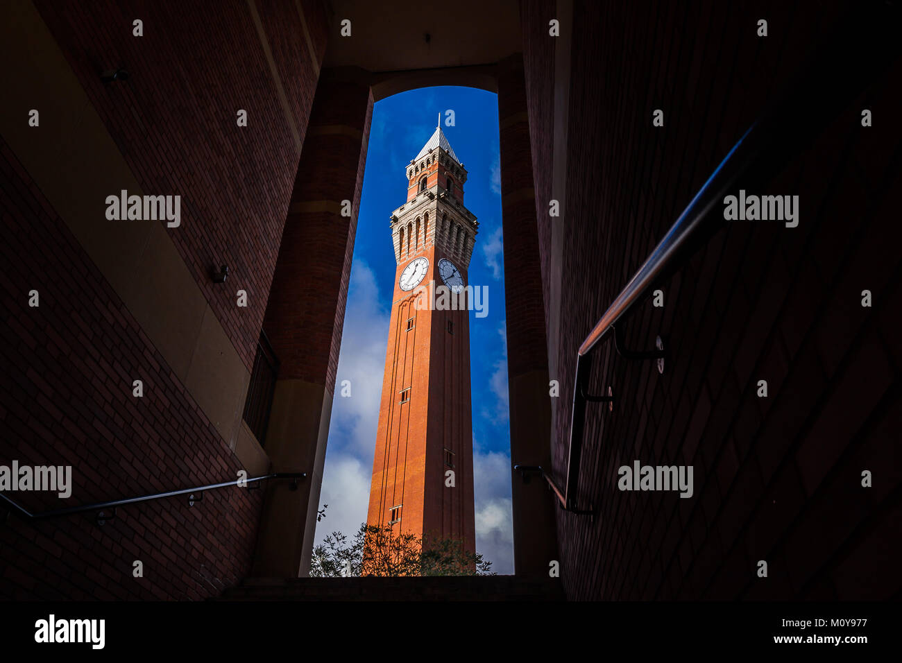 Joseph Chamberlain Memorial Clock Tower, "vecchio Joe", il più alto freestanding torre dell orologio nel mondo, presiede l'Università di Birmingham campus. Foto Stock