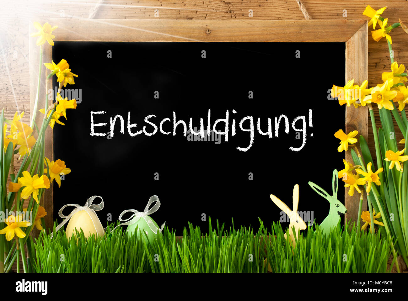 Sunny narciso, Uovo di Pasqua, Bunny, mezzi Entschuldigung scusa Foto Stock