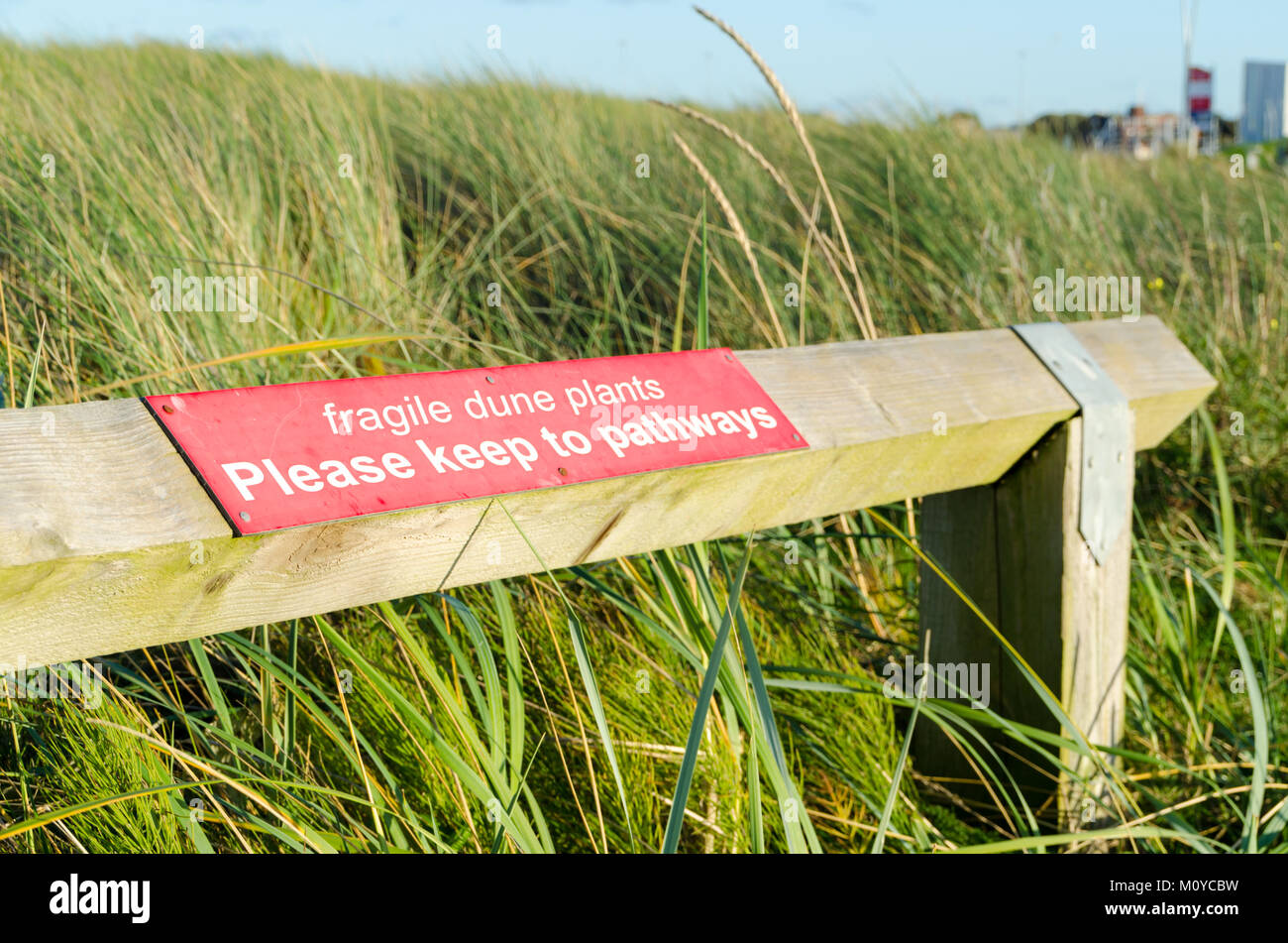Segno di avvertimento per proteggere duna di sabbia piante, la lettura 'fragili dune piante - Si prega di tenere a Pathways', situato a Sandhaven, South Shields Foto Stock