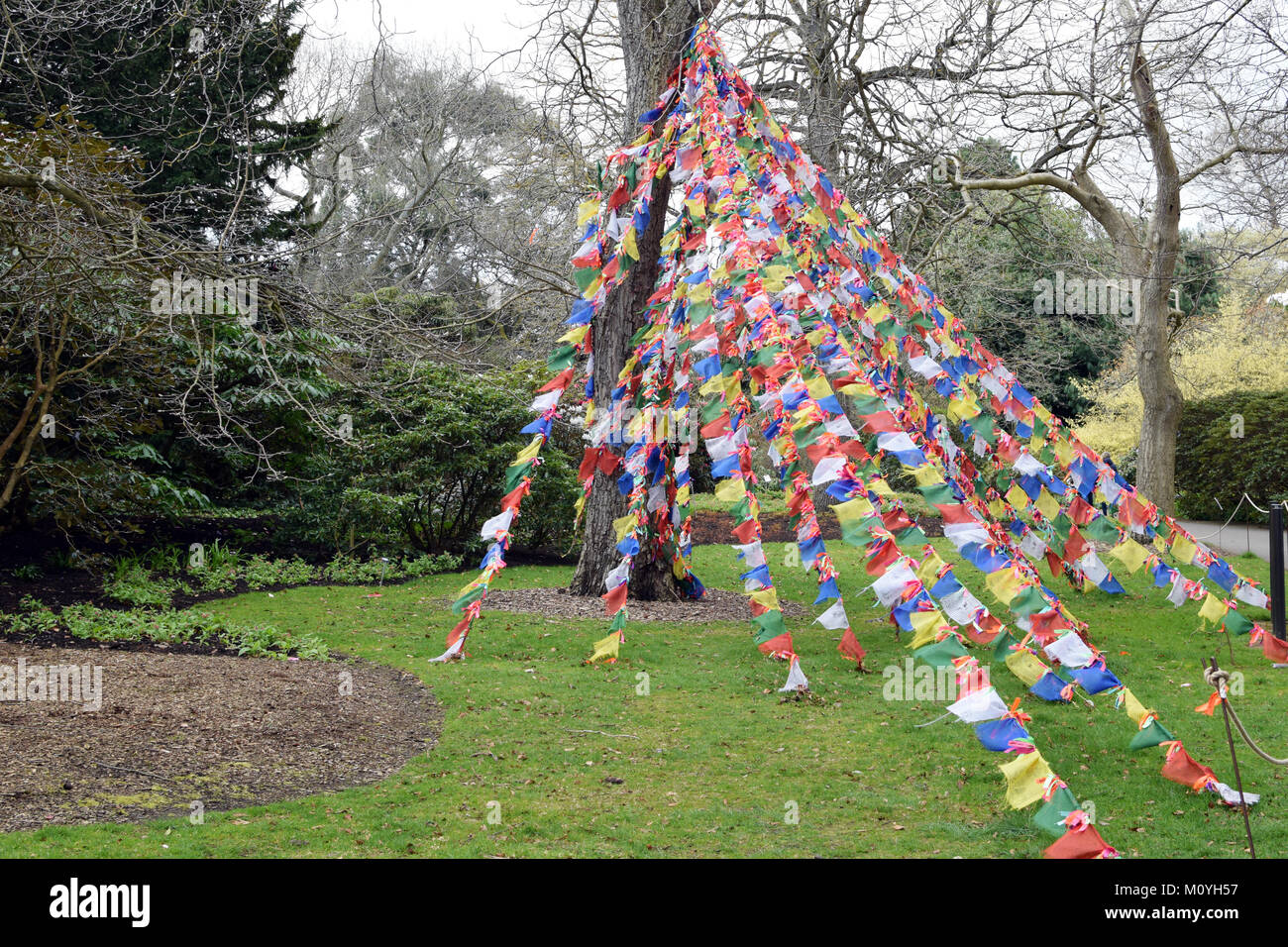 Colorato Bunting / Bandiere triangolari al vento presso i giardini botanici Foto Stock