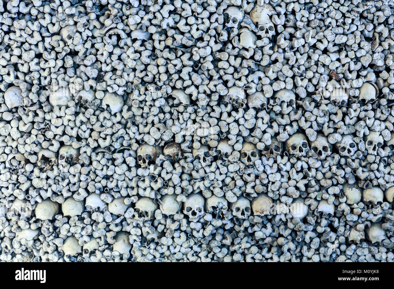 Teschi e le ossa nella parete della Cappella delle Ossa nella chiesa di San Francesco a Evora, Alentejo, Portogallo Foto Stock