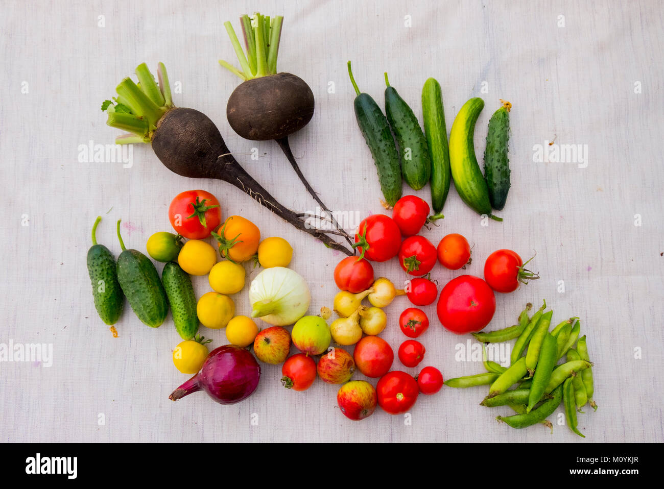 Varietà di verdure su tavola Foto Stock
