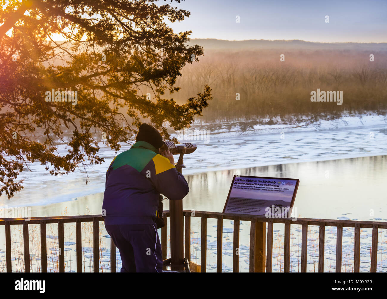L'uomo guarda floes sul fiume Missouri da un ponte di legno attraverso un telescopio; segno interpretative dal Missouri Wildlife Refuge sulla destra Foto Stock