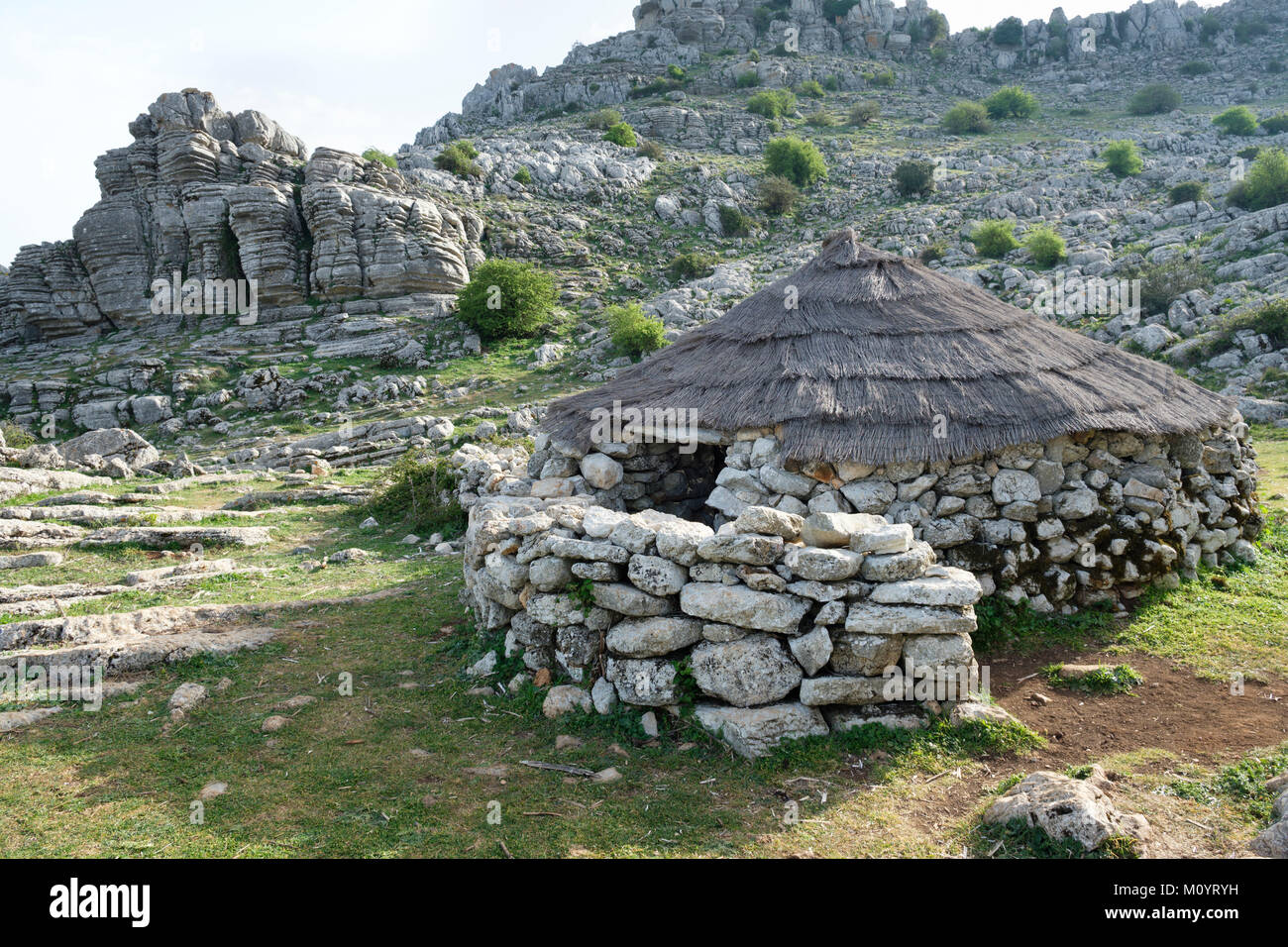 I frati della penna di capra (Majada del fraile), El Torcal de Antequera, Andalusia, Spagna Foto Stock