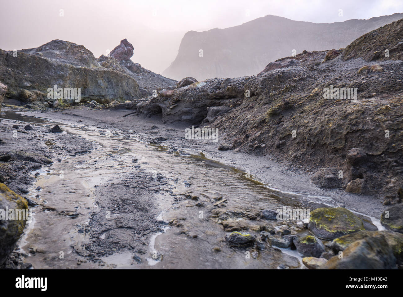 Paesaggio vulcanico di Isola Bianca, Nuova Zelanda Foto Stock