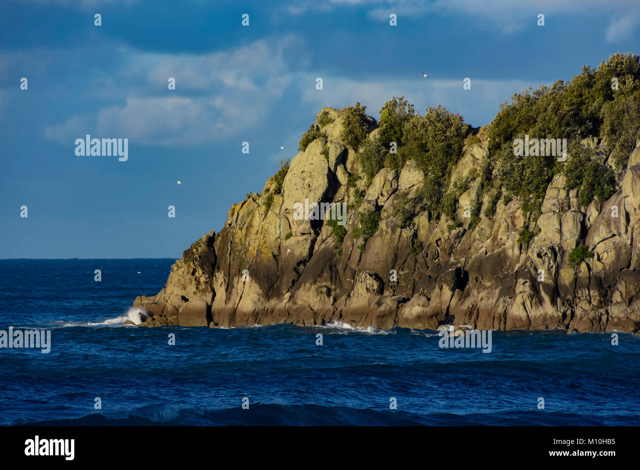 Tauranga Mount Maunganui area, Nuova Zelanda Foto Stock