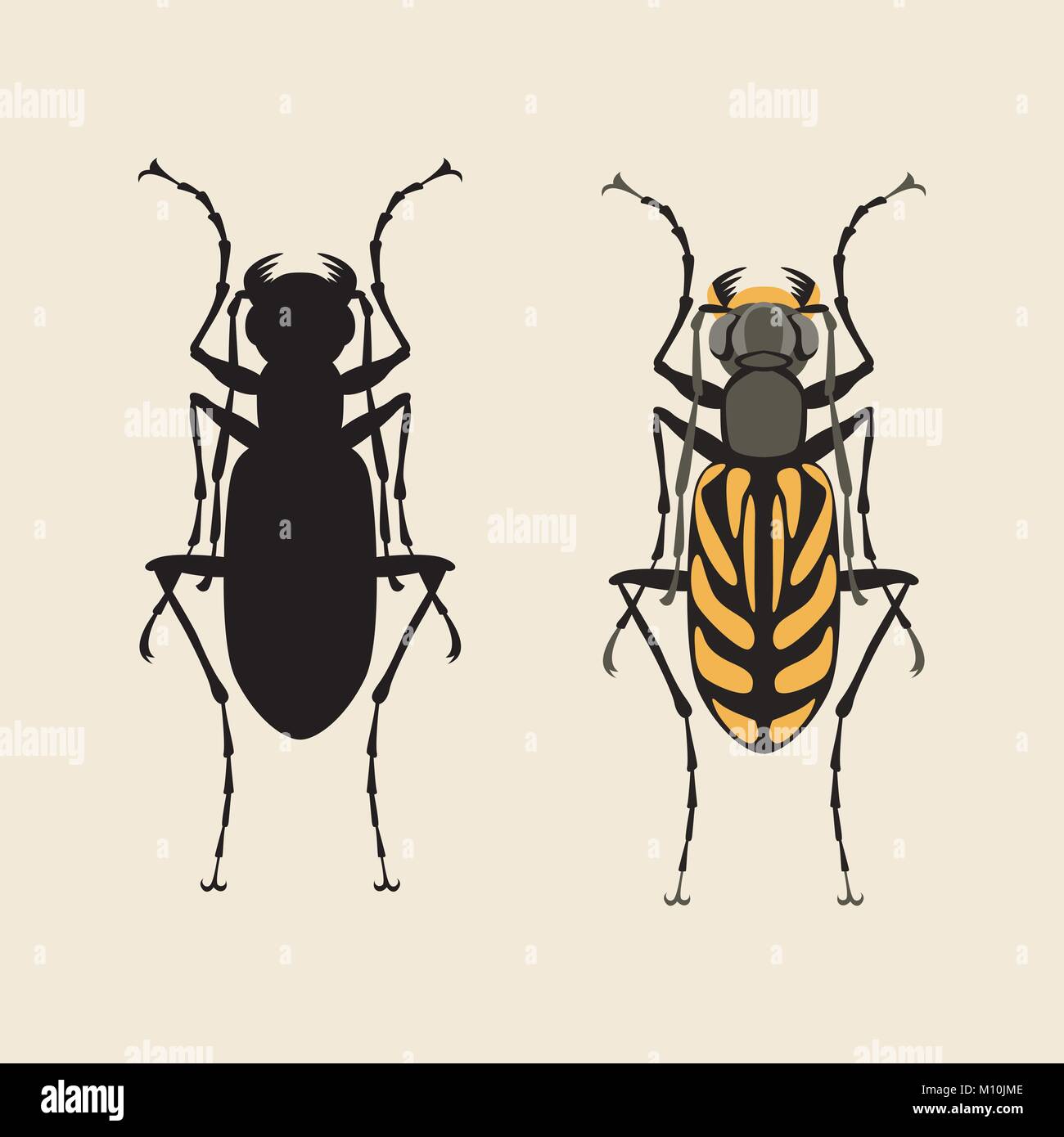 Beetle illustrazione vettoriale di tipo piatto nero set silhouette Illustrazione Vettoriale