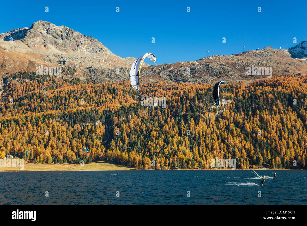 Wind surf sul lago di Silvaplana con la caduta delle foglie colore in larice alberi in Engadina, Graubuden, Svizzera, Europa. Foto Stock