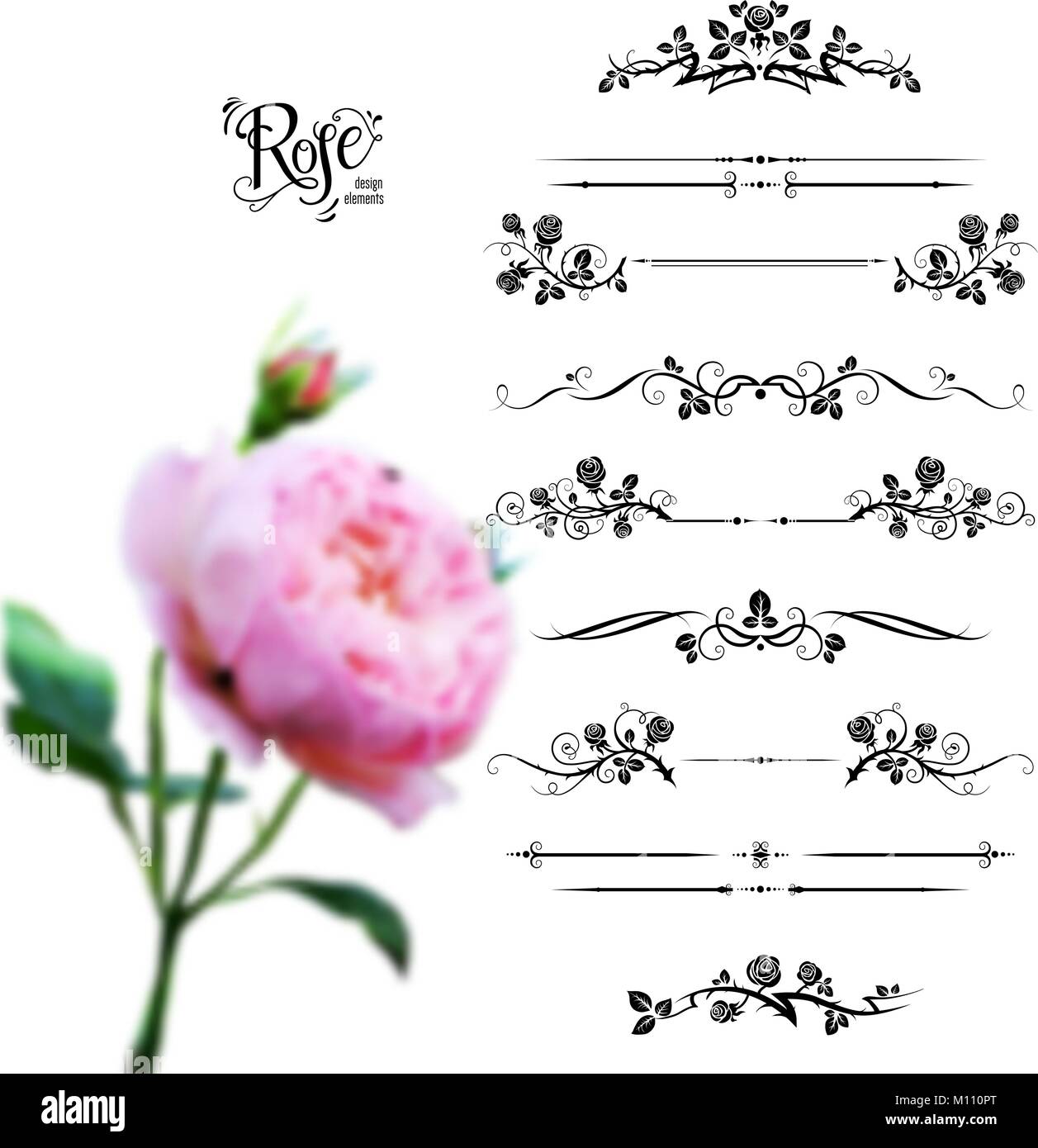 Rose set nero Illustrazione Vettoriale