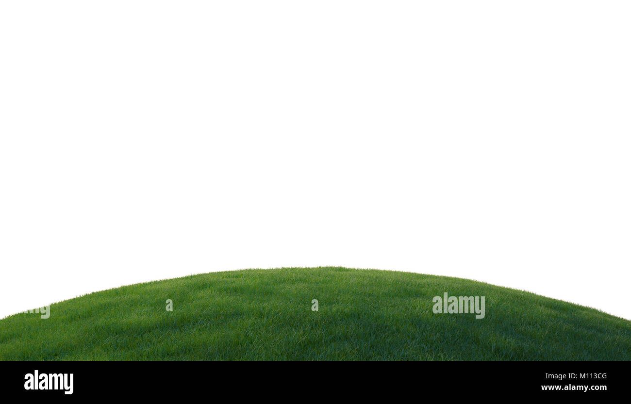 Erba verde sulla collina isolate su sfondo bianco Foto Stock