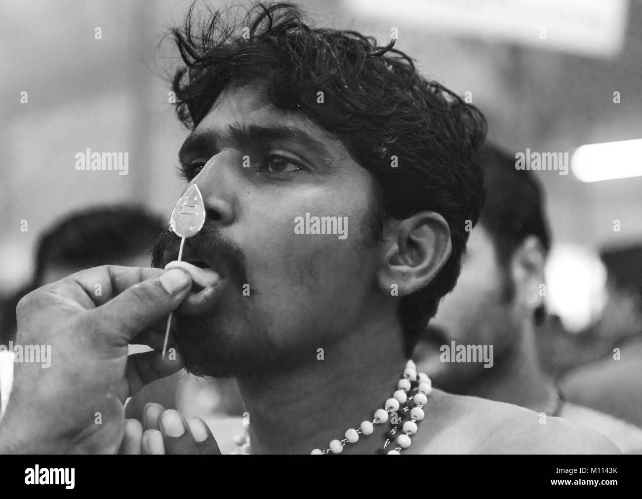 SINGAPORE 2015: devoti indù ottenere trafitto nella loro bocca con un ago e portare il latte pentola per signore Muruga durante l'annuale festival indù Thaipusam Foto Stock