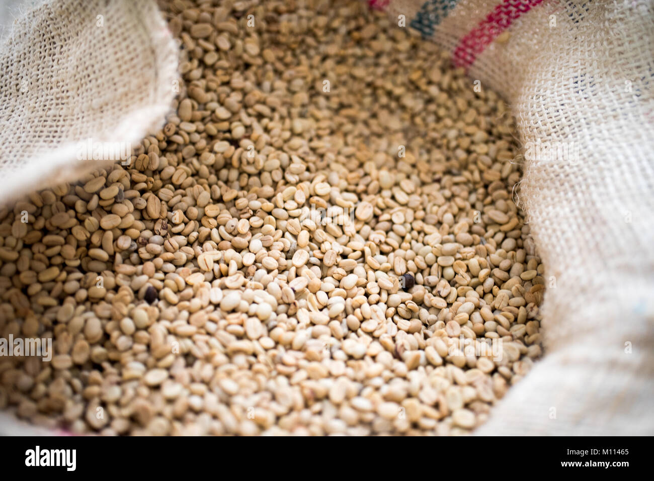 Pieno sacchi di caffè, caffè pieno sacco di Medellin, Antioquia, Colombia Foto Stock