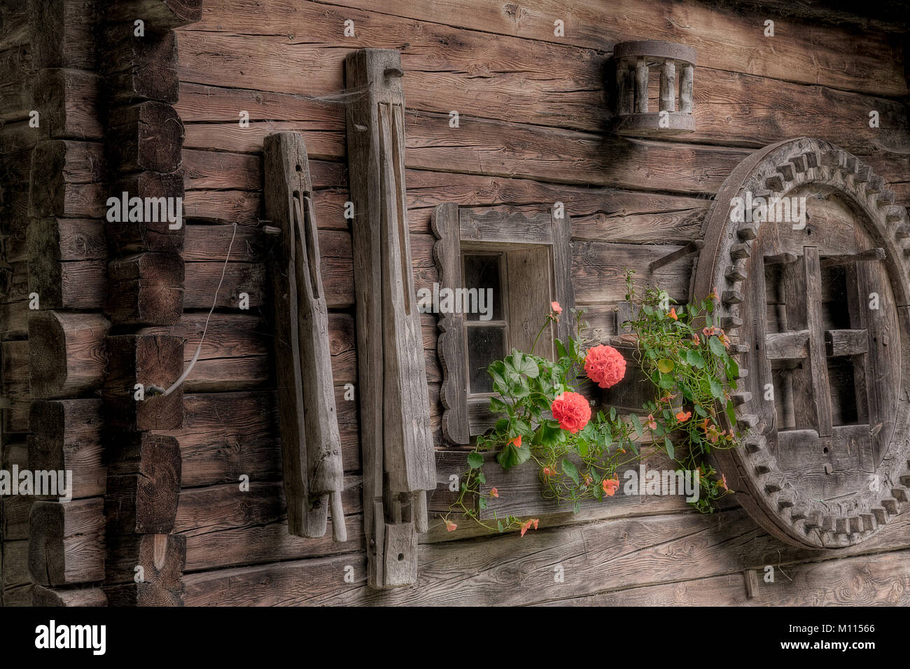 Pareti in legno della vecchia baita alpina con strumenti pensili e fiori Foto Stock
