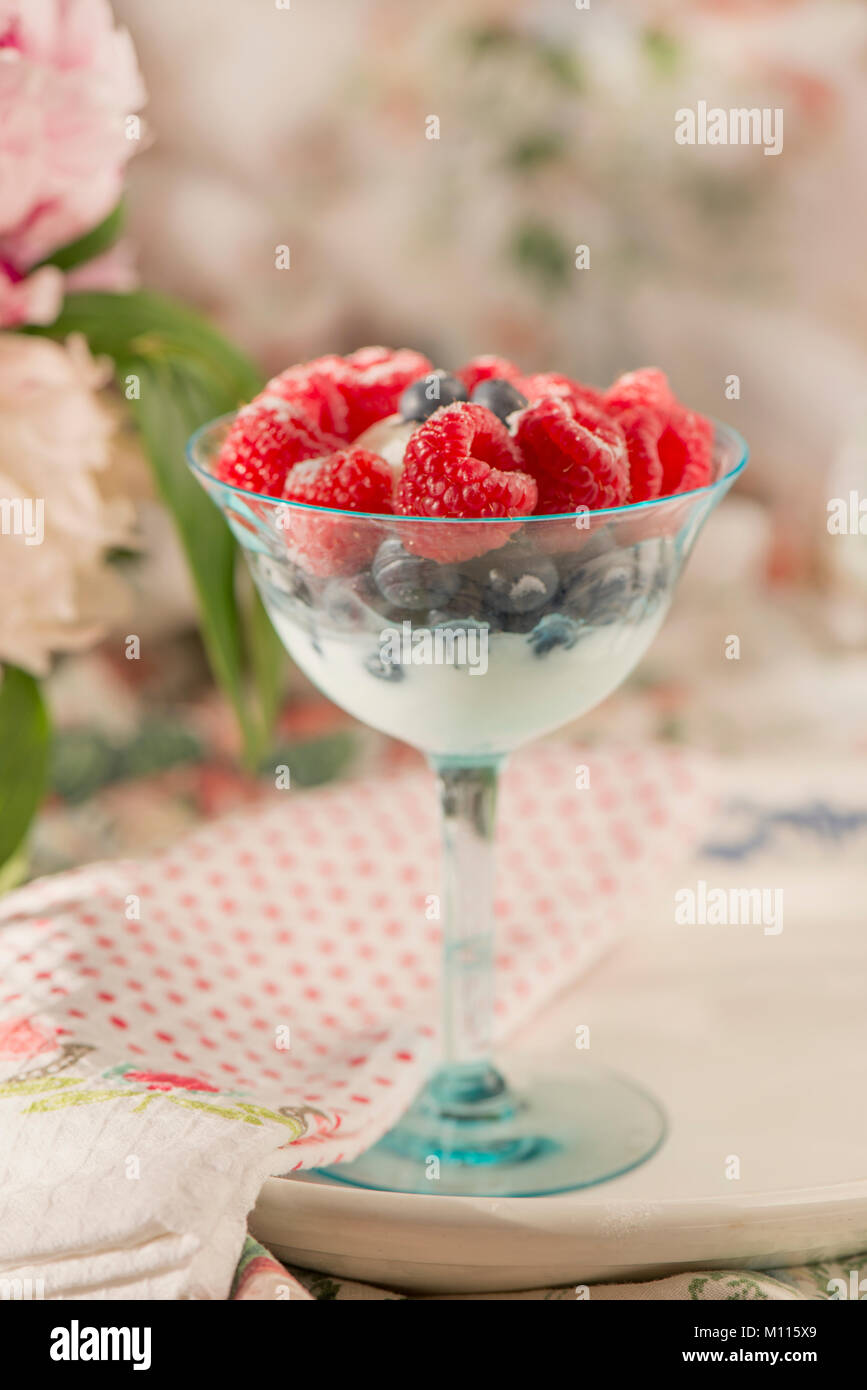Parfait con frutti di bosco e yogurt Foto Stock