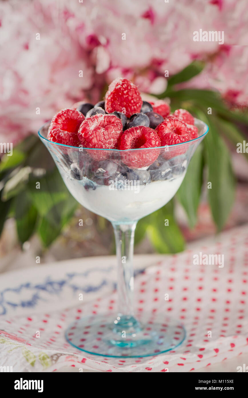 Parfait con frutti di bosco e yogurt Foto Stock