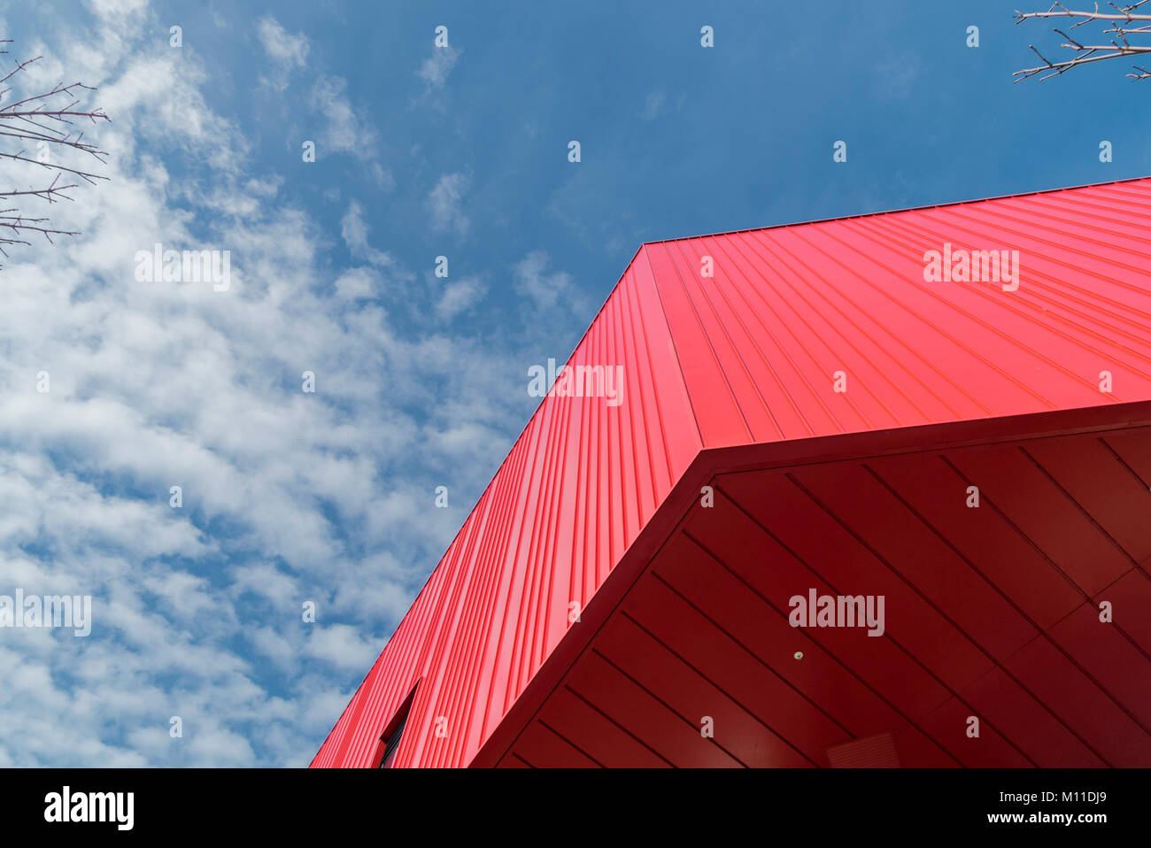 Millbay Academy, Plymouth. Conosciuto localmente come la Casa Rossa: PHILLIP ROBERTS Foto Stock