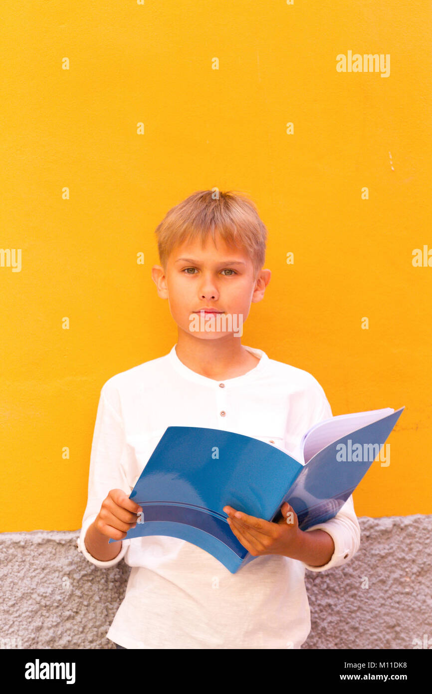 Ragazzo con il notebook aperto facendo i compiti di scuola Foto Stock