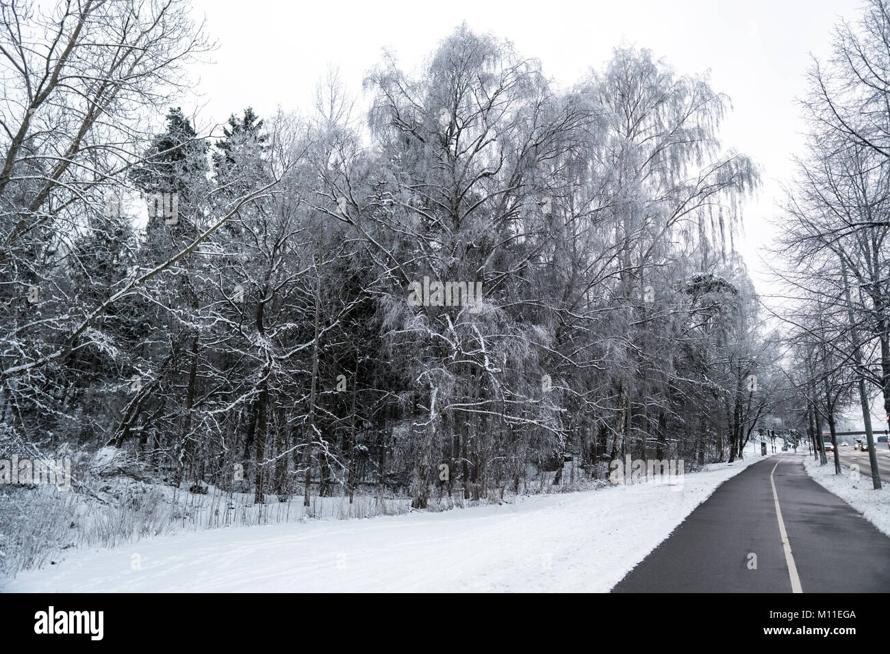 Pista ciclabile passando da una foresta e avente una strada con un traffico su un lato. Foto Stock