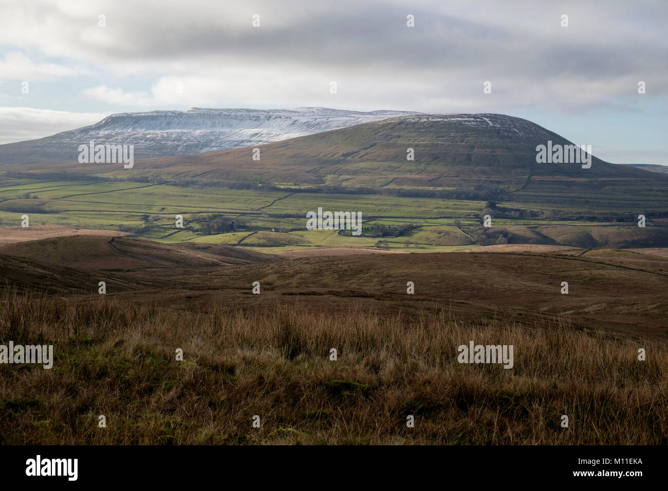 Ingleborough hill, Yorkshire Dales, Inghilterra Foto Stock