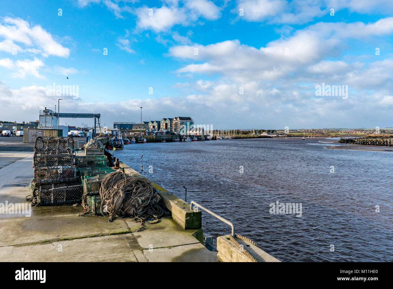 Camminare, Northumberland, Regno Unito Foto Stock