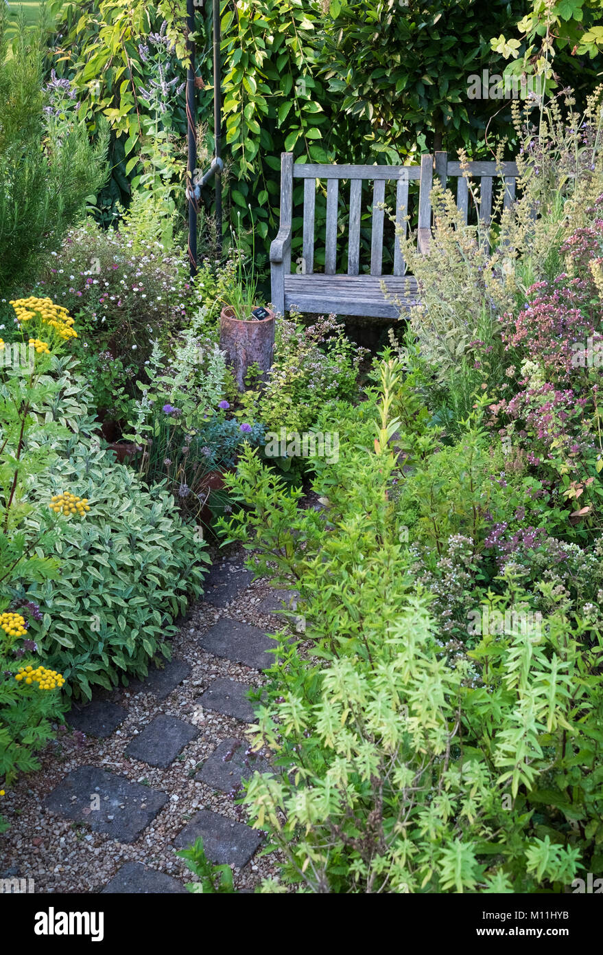 Piccolo giardino di erbe aromatiche con posti a sedere in legno area, estate, Agosto, England, Regno Unito Foto Stock