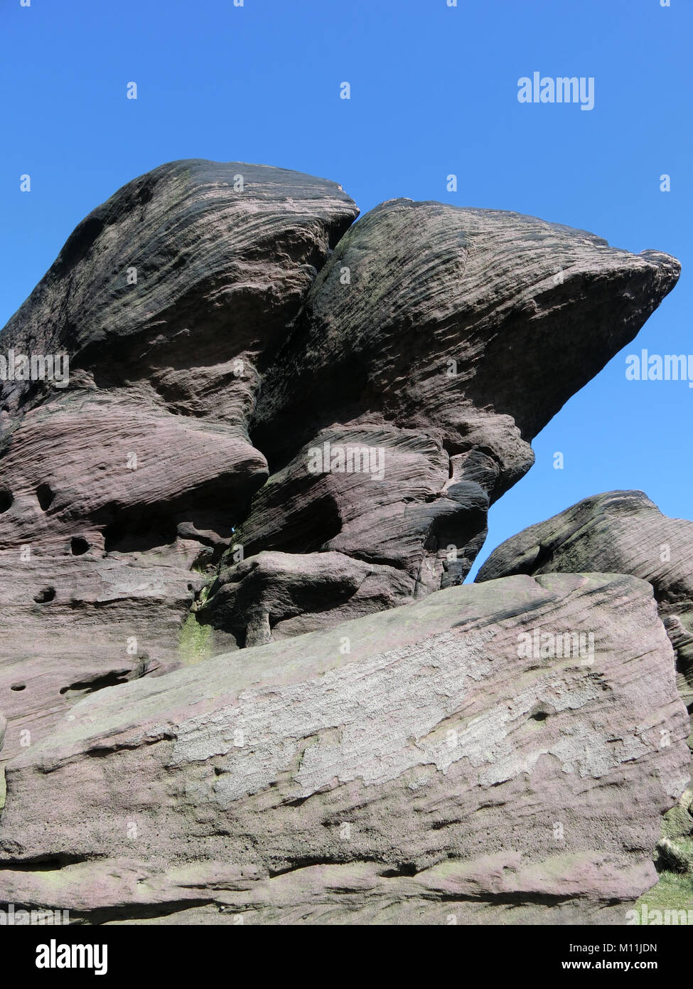 Gritstone scarpata a scarafaggi, Staffordshire Moorlands, Parco Nazionale di Peak District, Staffordshire, Regno Unito in aprile Foto Stock