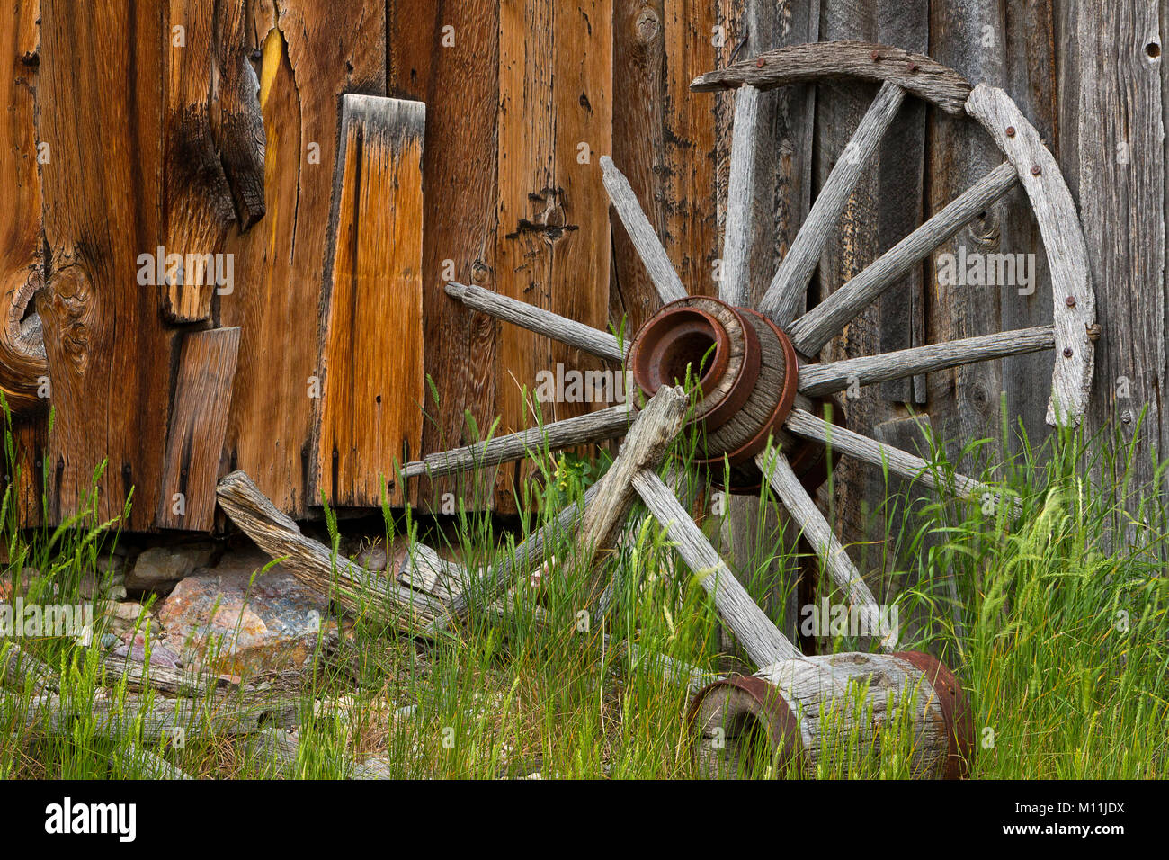 La rottura di una ruota fissa contro un vecchio edificio in Bannack città fantasma nel Montana. Stati Uniti d'America Foto Stock