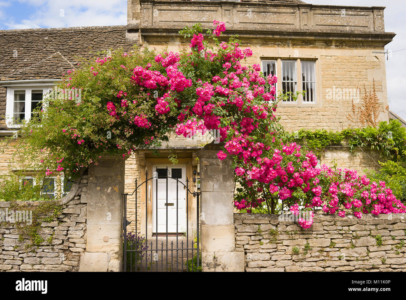 Un floriferous rambling rosa, eventualmente American pilastro, ad adornare l'ingresso principale e la parete di delimitazione di una casa di città a Melksham Wiltshire, Inghilterra REGNO UNITO Foto Stock