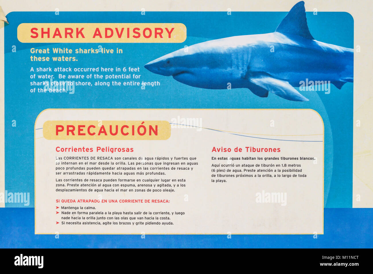 Shark advisory segno sia in inglese e in spagnolo, oceano pacifico, California. Foto Stock